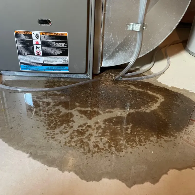 Appliance Leak Cleanup in North Fork, AZ